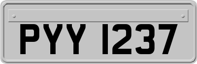 PYY1237