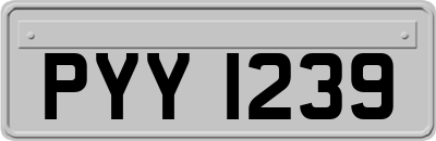 PYY1239