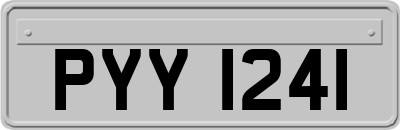 PYY1241
