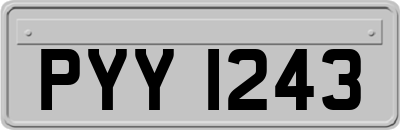 PYY1243