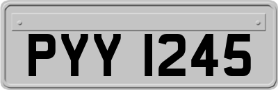 PYY1245