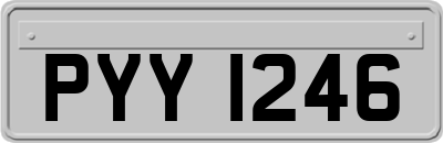 PYY1246