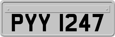 PYY1247