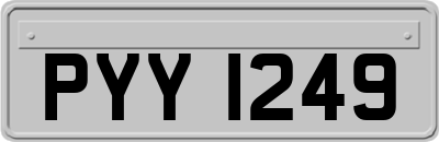 PYY1249