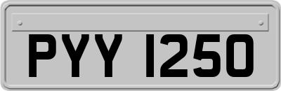 PYY1250