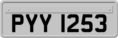 PYY1253