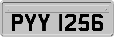 PYY1256