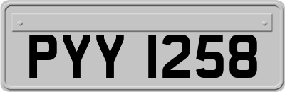 PYY1258