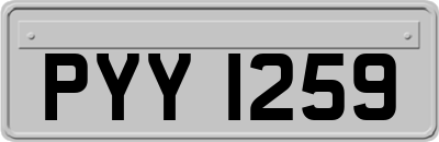 PYY1259