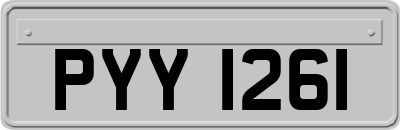 PYY1261