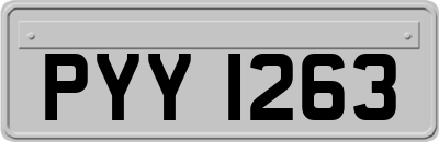 PYY1263