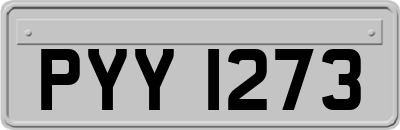 PYY1273