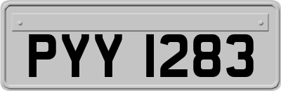 PYY1283