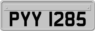 PYY1285
