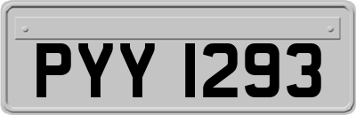 PYY1293