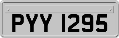 PYY1295