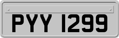 PYY1299