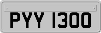 PYY1300