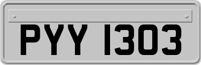 PYY1303