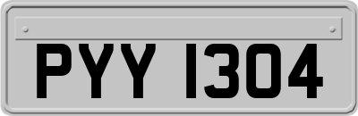 PYY1304