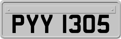 PYY1305
