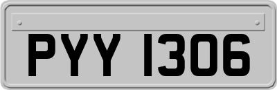 PYY1306