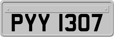 PYY1307