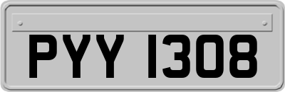 PYY1308