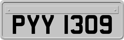 PYY1309