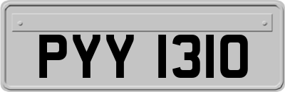 PYY1310