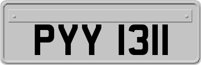 PYY1311