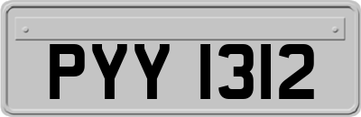 PYY1312