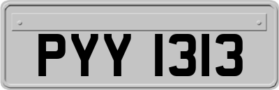 PYY1313