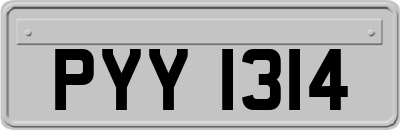 PYY1314