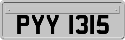 PYY1315