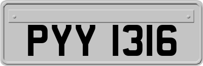 PYY1316
