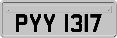 PYY1317