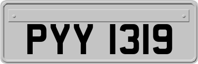 PYY1319