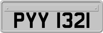 PYY1321