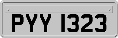 PYY1323
