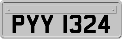 PYY1324