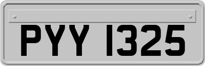 PYY1325