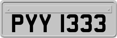 PYY1333