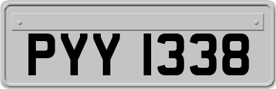 PYY1338