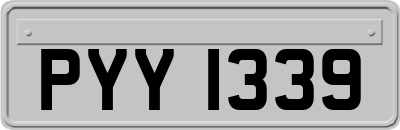 PYY1339