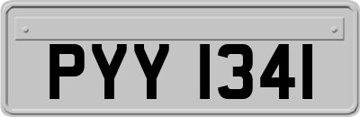 PYY1341