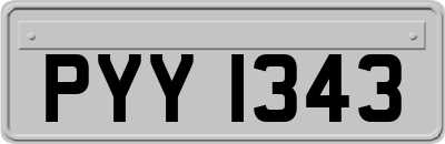 PYY1343
