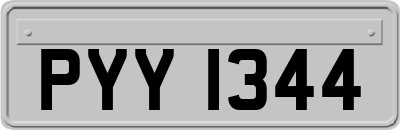 PYY1344