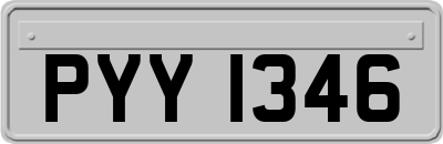PYY1346