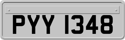 PYY1348